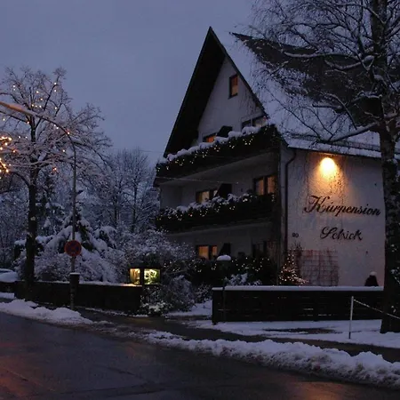 Hotel Schick-3